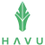 HAVU logo for CS:GO match vs Acend, May 21, 2026